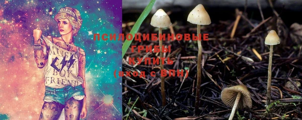 PSILOCYBIN Абинск