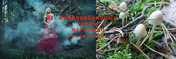 спиды Алексеевка