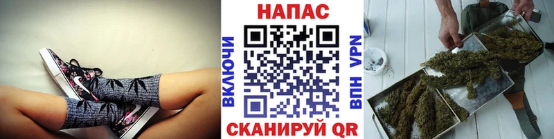 Бошки Шишки OG Kush  цена наркотик  Нерехта 